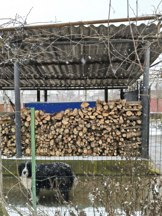 Proprietate rară – 2 case + livadă, vie și teren generos, la 20 km de Târgu Jiu