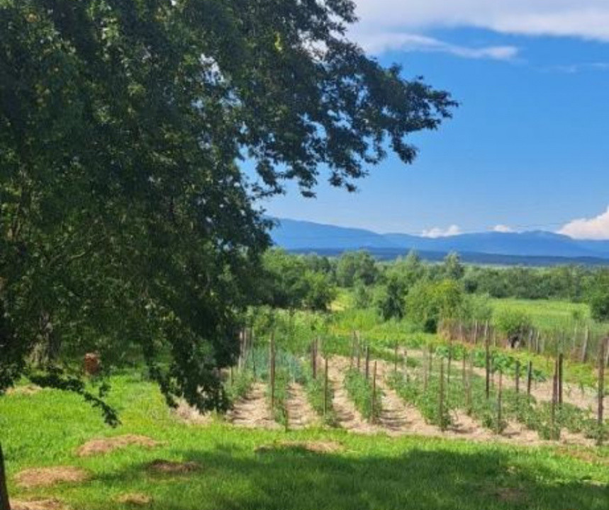 Proprietate rară – 2 case + livadă, vie și teren generos, la 20 km de Târgu Jiu