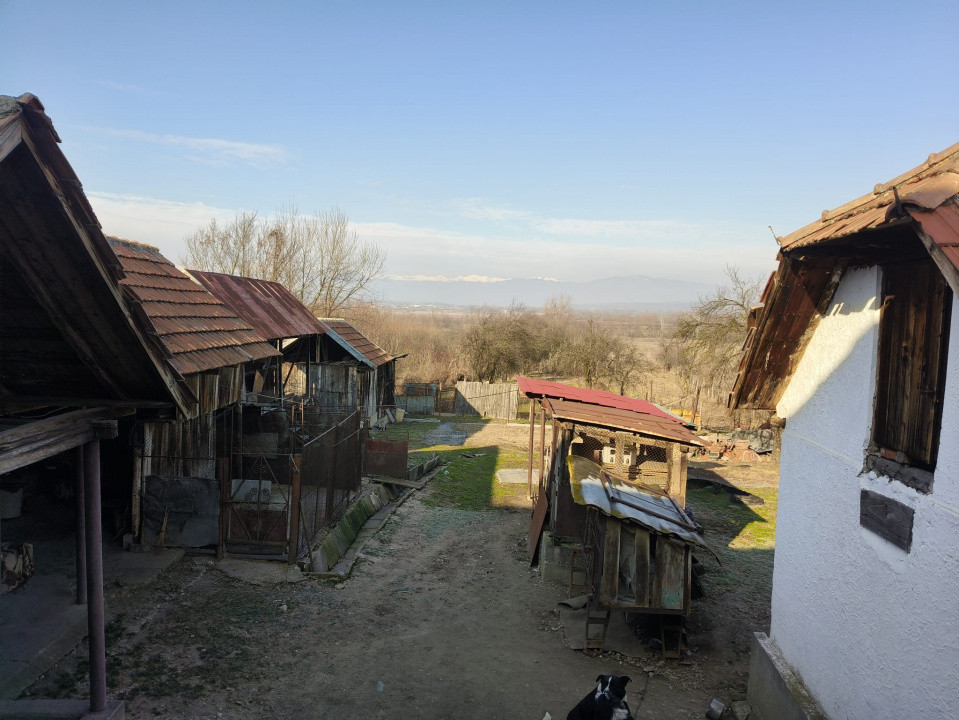 Proprietate rară – 2 case + livadă, vie și teren generos, la 20 km de Târgu Jiu