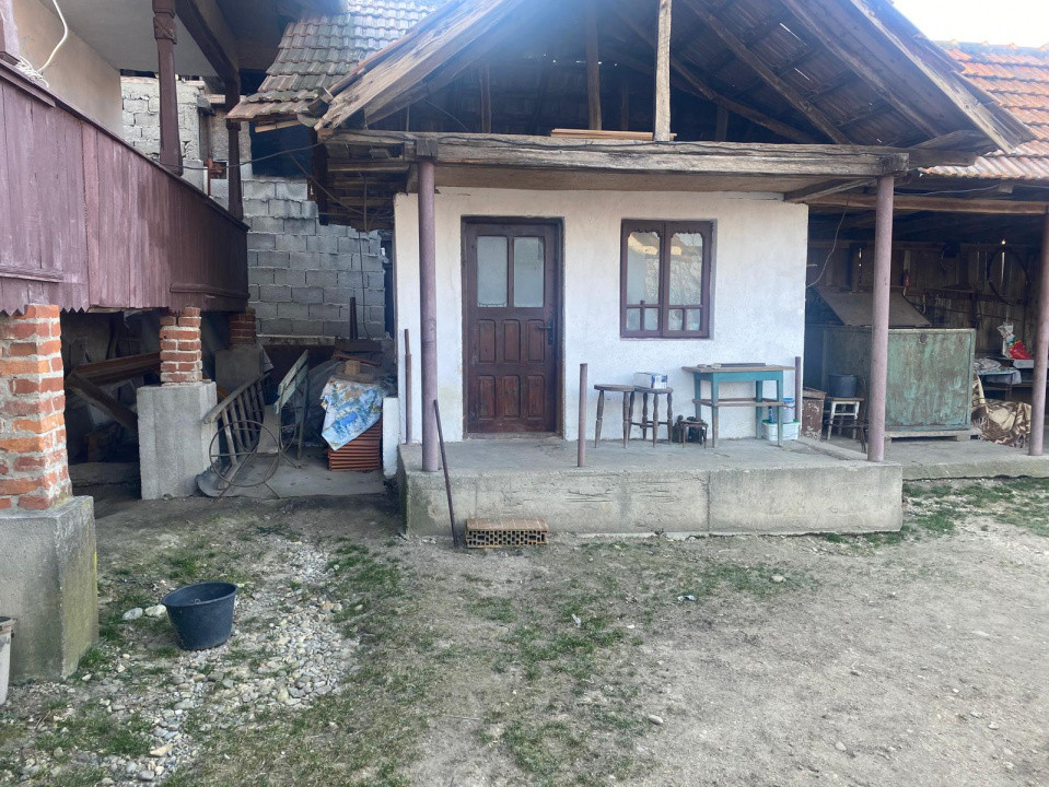 Proprietate rară – 2 case + livadă, vie și teren generos, la 20 km de Târgu Jiu