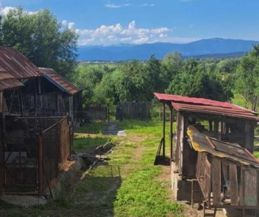 Proprietate rară – 2 case + livadă, vie și teren generos, la 20 km de Târgu Jiu