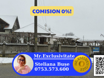 Proprietate rară – 2 case + livadă, vie și teren generos, la 20 km de Târgu Jiu