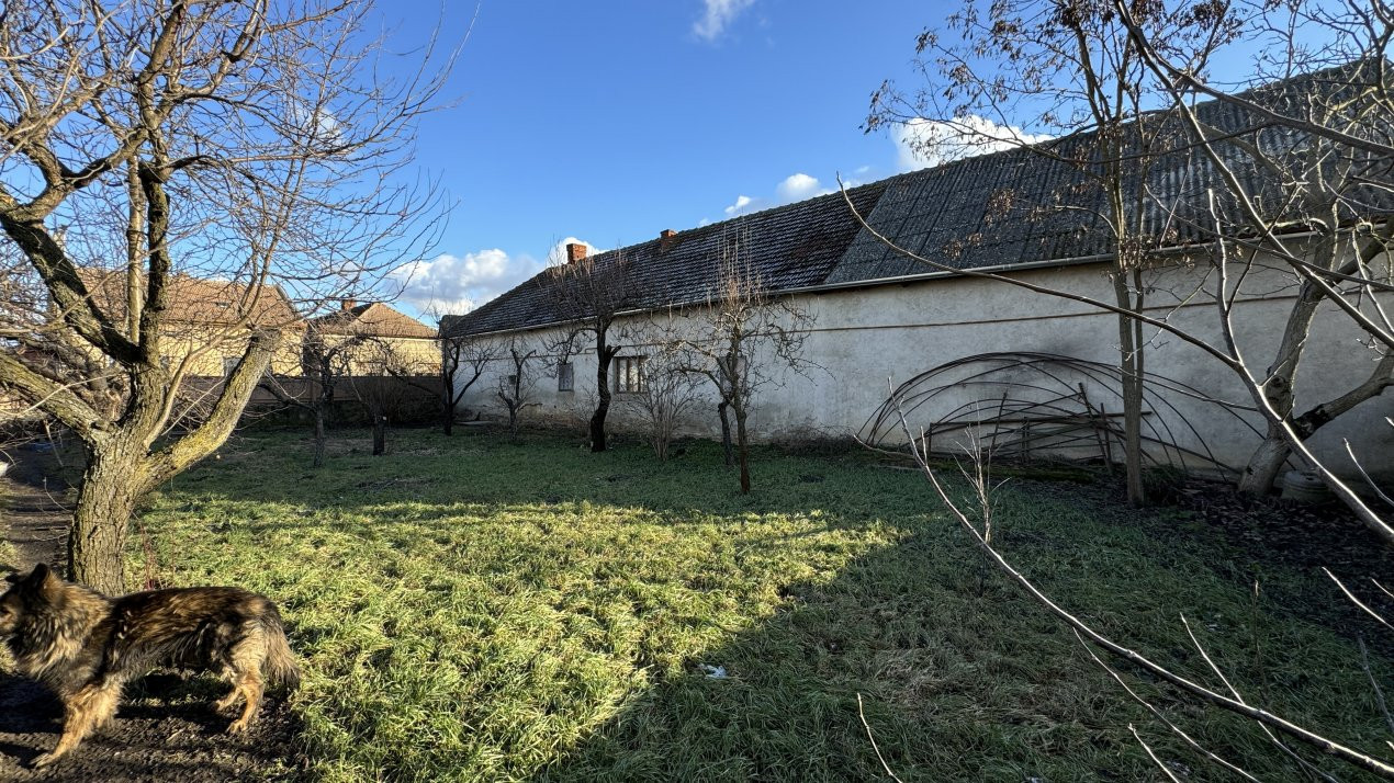 Teren Intravilan 2062 mp Carei -Str. T. Vladimirescu - Comision 0% cumpărător
