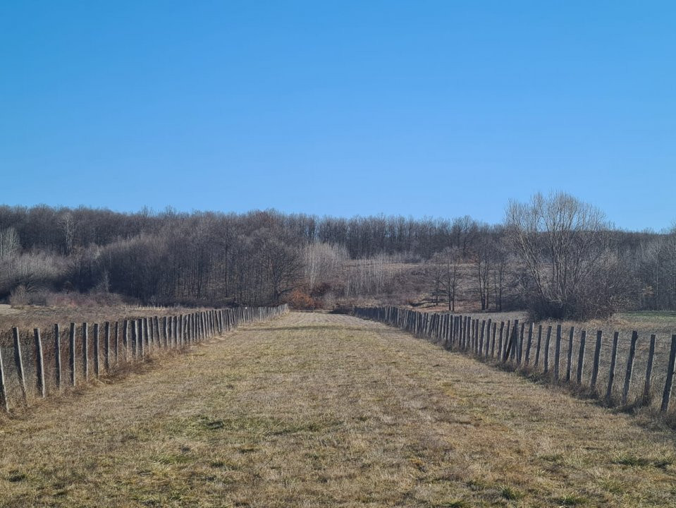Casă / Vilă și teren în Curtișoara, ideală pentru pensiune /casă de vacanță