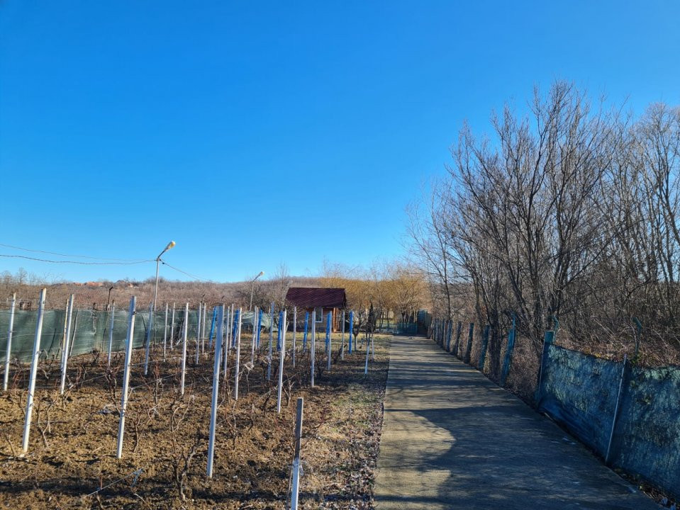 Casă / Vilă și teren în Curtișoara, ideală pentru pensiune /casă de vacanță