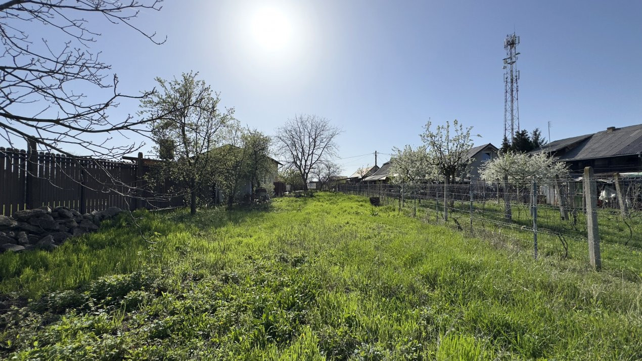 Teren Intravilan 980 mp Carei -GrădinaViilor Zona Str. Livezilor - Comision 0% 