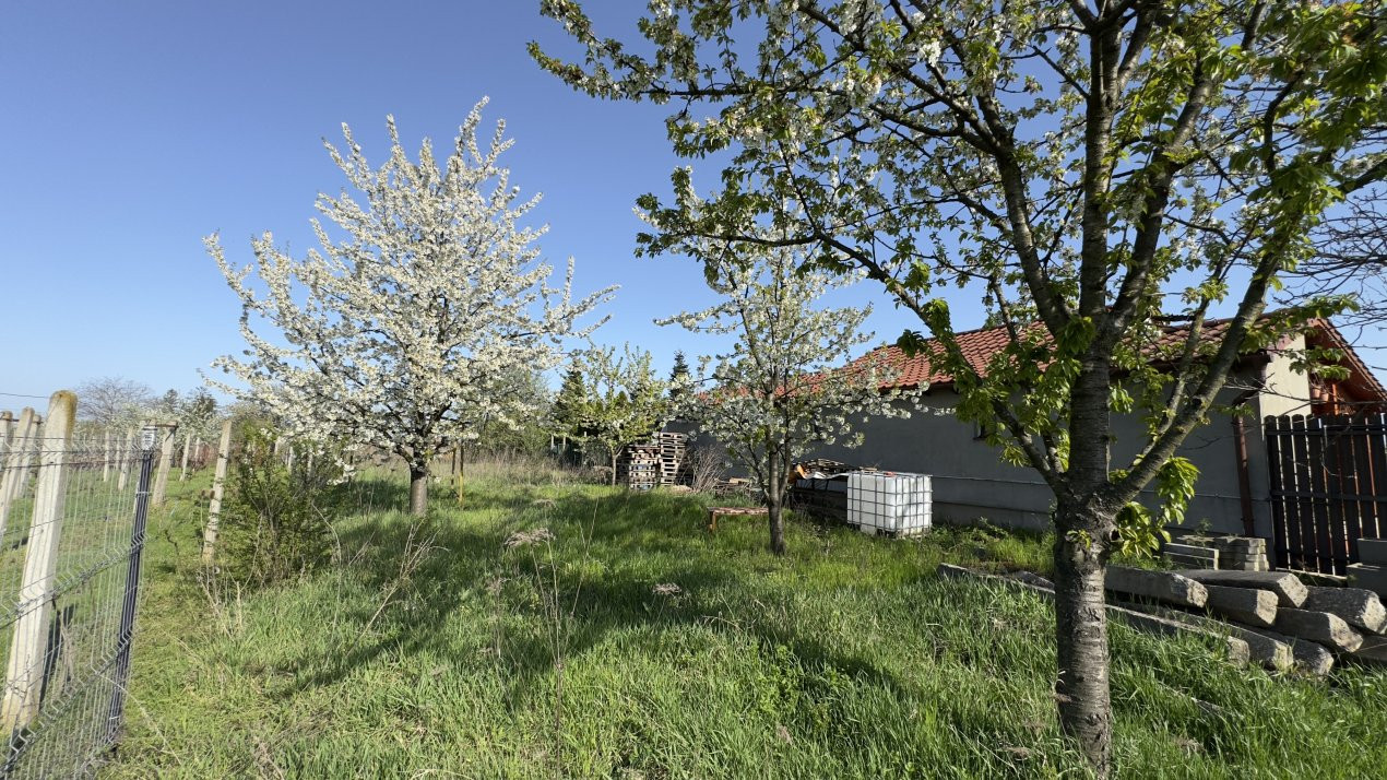 Teren Intravilan 980 mp Carei -GrădinaViilor Zona Str. Livezilor - Comision 0% 