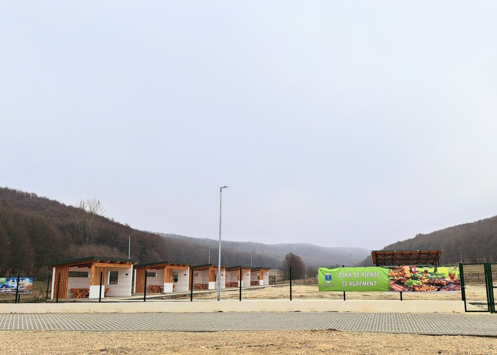 Teren intravilan Brăileni-Valea Ursului-langa padure, zona de agrement si BBQ 