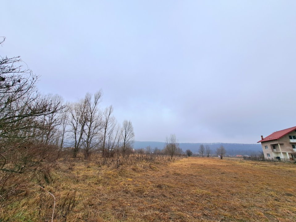Teren intravilan Brăileni-Valea Ursului-langa padure, zona de agrement si BBQ 