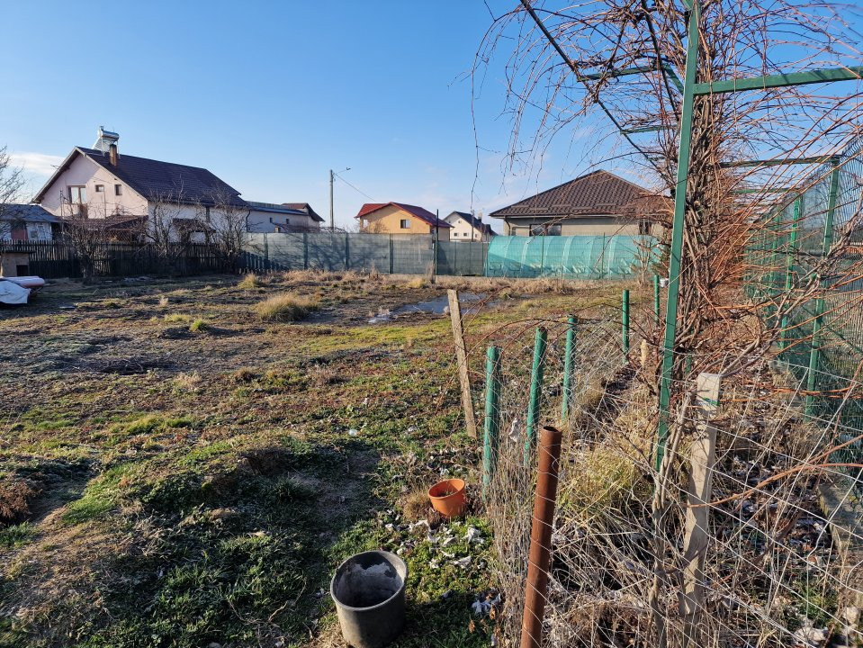 Teren Prunilor, Smeura!