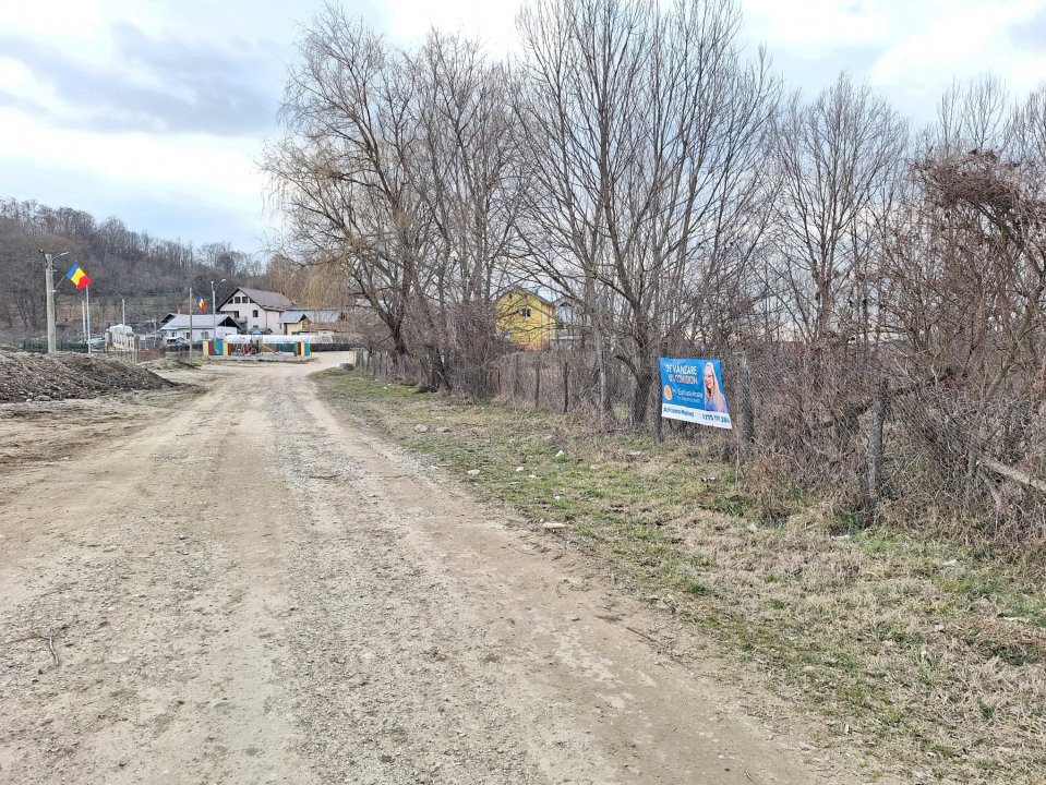 Teren intravilan 1.311 mp Bascov-Brăileni langa padure si zona de agrement