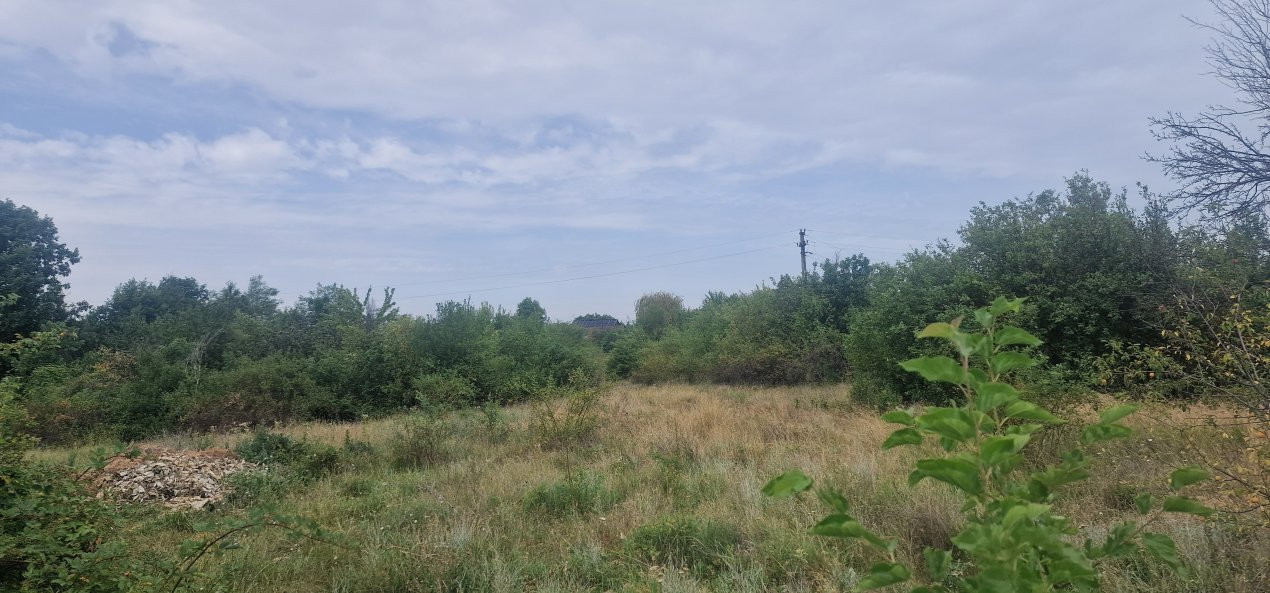 TEREN POIANA LACULUI
