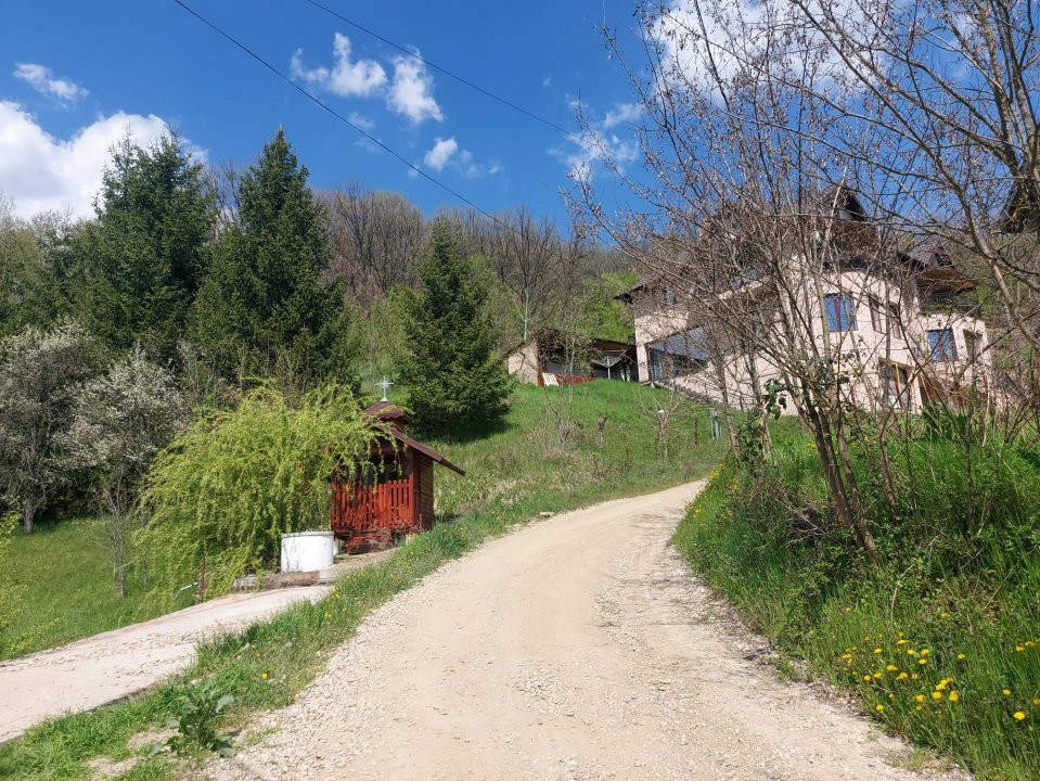 Casa imbratisata de padure - Valea Ursului, Bascov