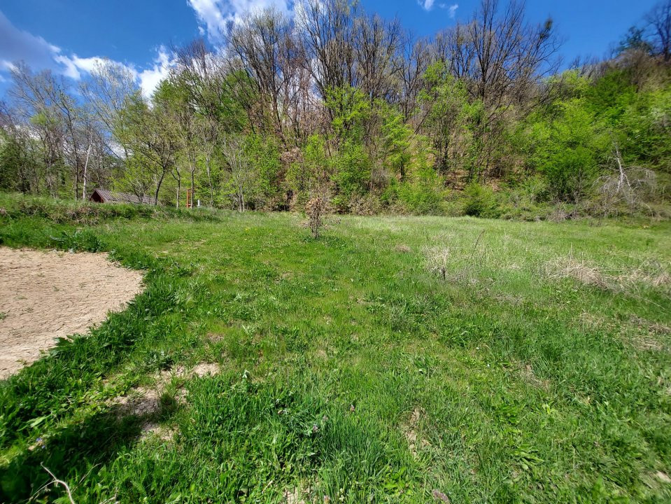 Casa primitoare de închiriat in Valea Ursului-spațiu, natura si liniște