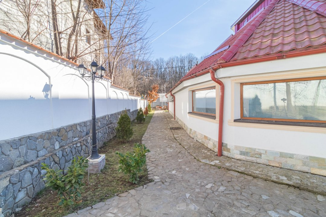 Oportunitate business vis-a-vis de Padurea Snagov
