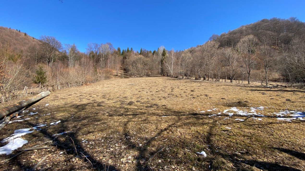 Teren in zona montana - Dragoslavele 0% Comision
