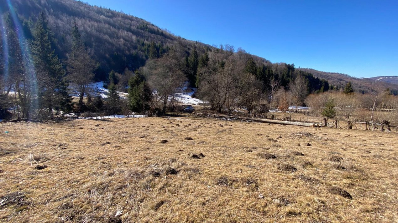 Teren in zona montana - Dragoslavele 0% Comision