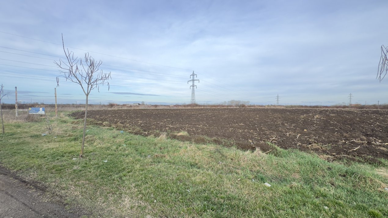 Teren Intravilan Industrial 13.164 mp, Zona Constantin Mille-Carei-Comision 0%