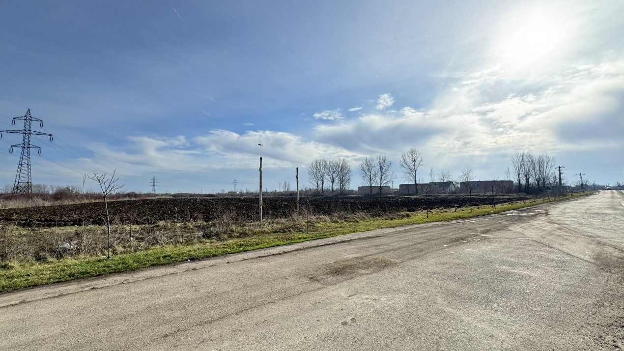 Teren Intravilan Industrial 13.164 mp, Zona Constantin Mille-Carei-Comision 0%