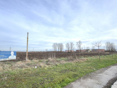 Teren Intravilan Industrial 13.164 mp, Zona Constantin Mille-Carei-Comision 0%