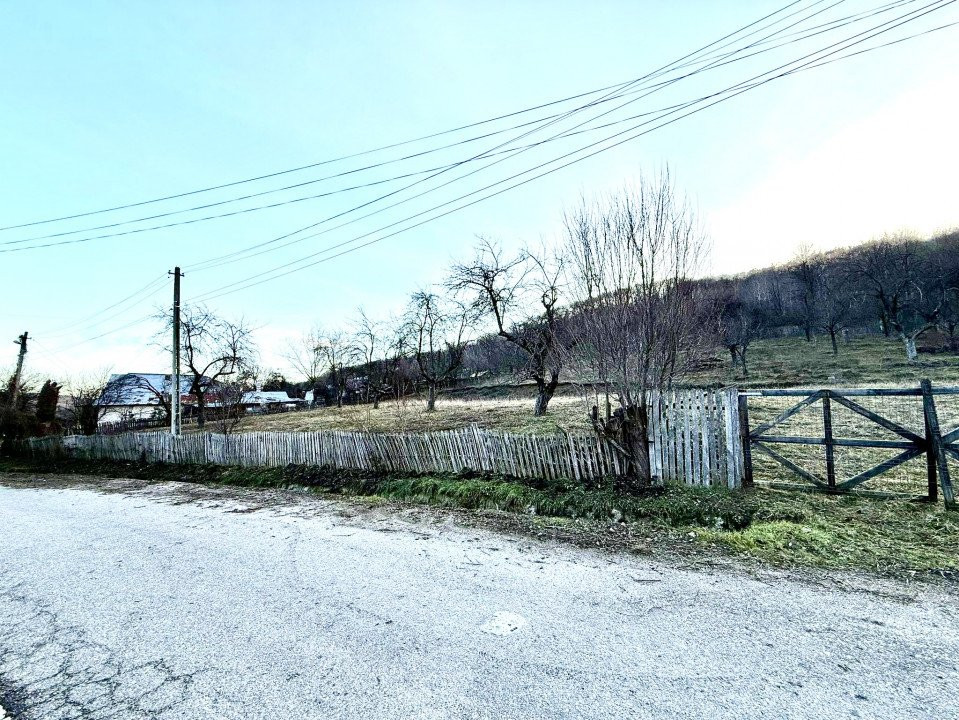 Teren com Draganu la 14 km de Auchan Gavana