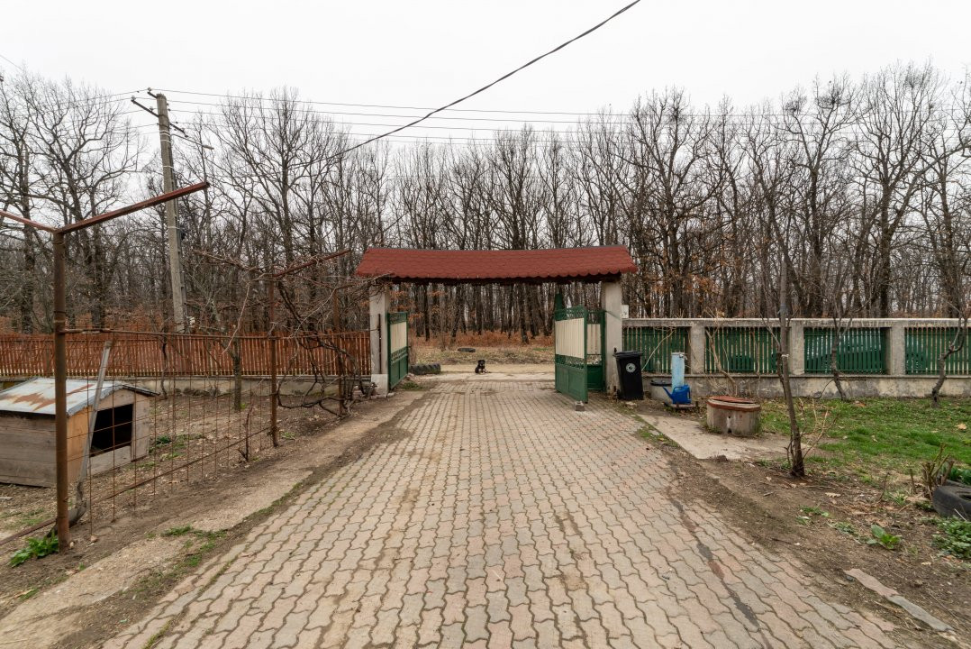 0% Comision !!  CASA CU   LAC SI PRIVELISTE  SUPERBA SPRE PADURE 