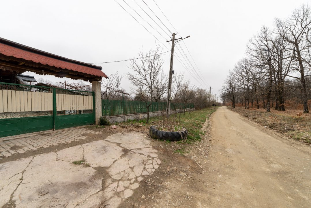 0% Comision !!  CASA CU   LAC SI PRIVELISTE  SUPERBA SPRE PADURE 