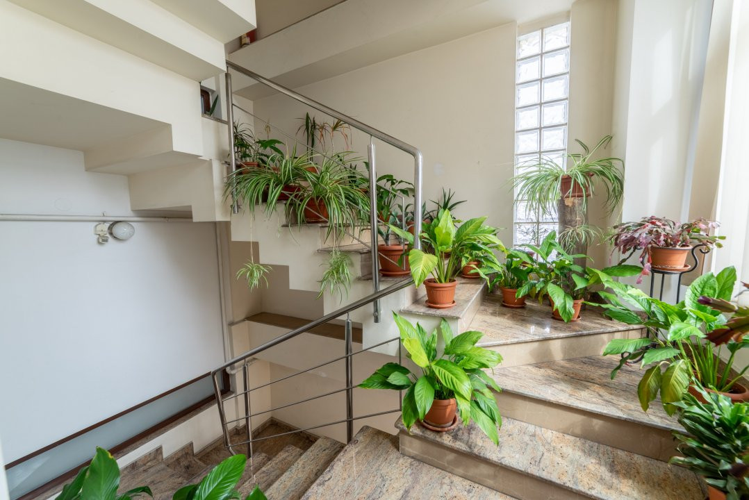 Casa P+3E+M cu spatiu comercial - ultracentral Pitesti