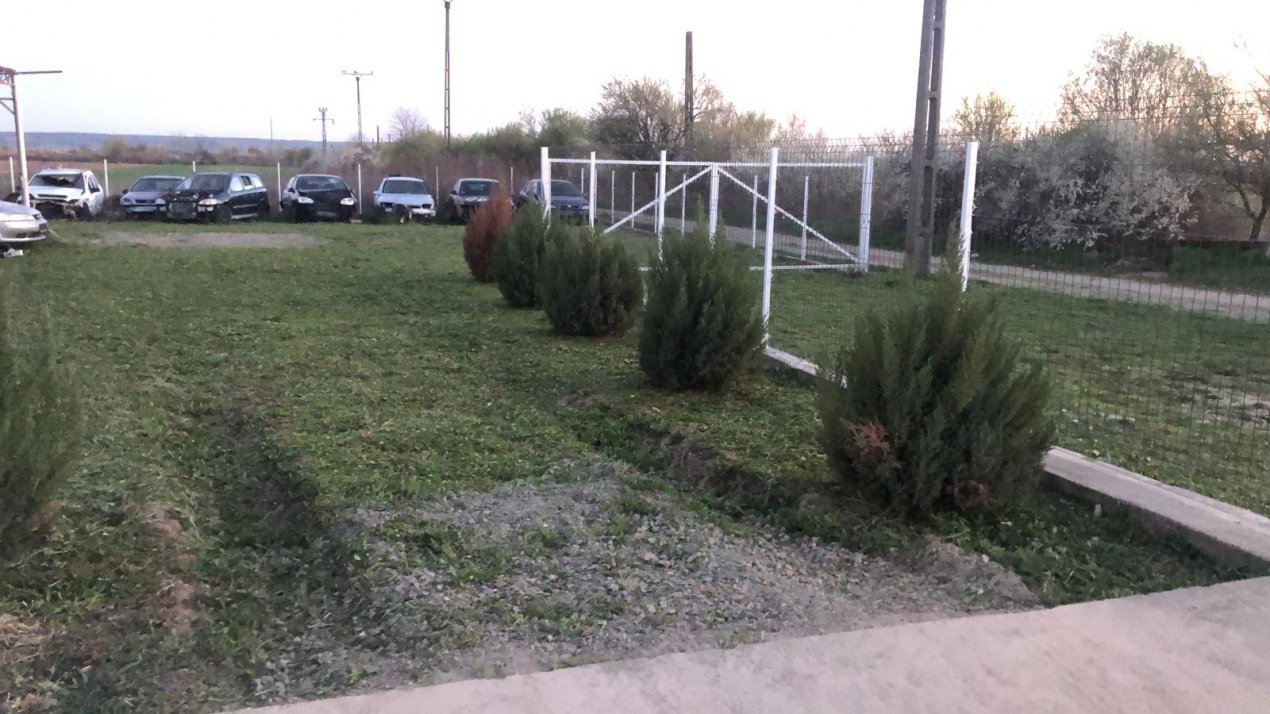 Hala și Teren Generos de Vânzare – Zonă Premium, Târgu Jiu