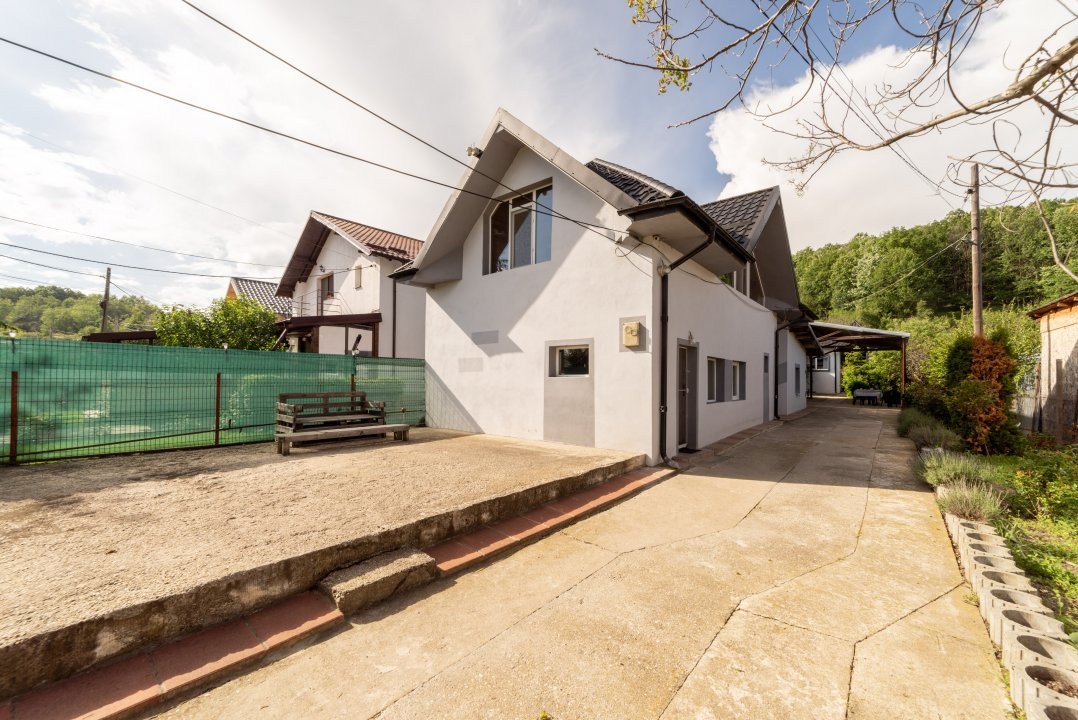 Două case la marginea pădurii – Proprietate de vânzare în Bascov!