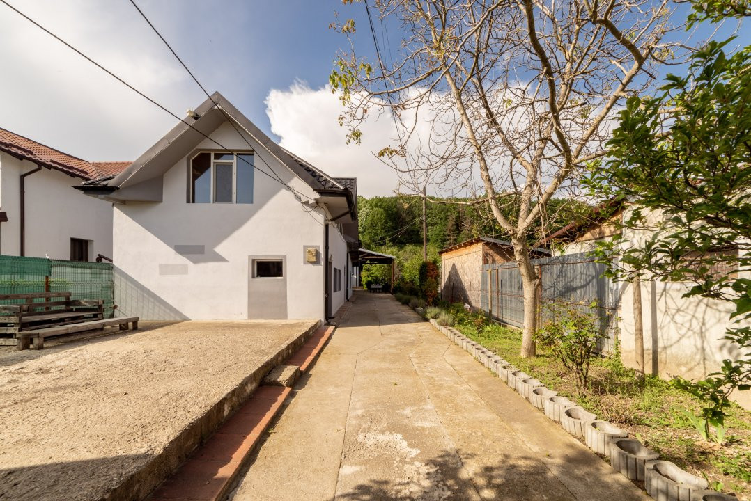 Două case la marginea pădurii – Proprietate de vânzare în Bascov!