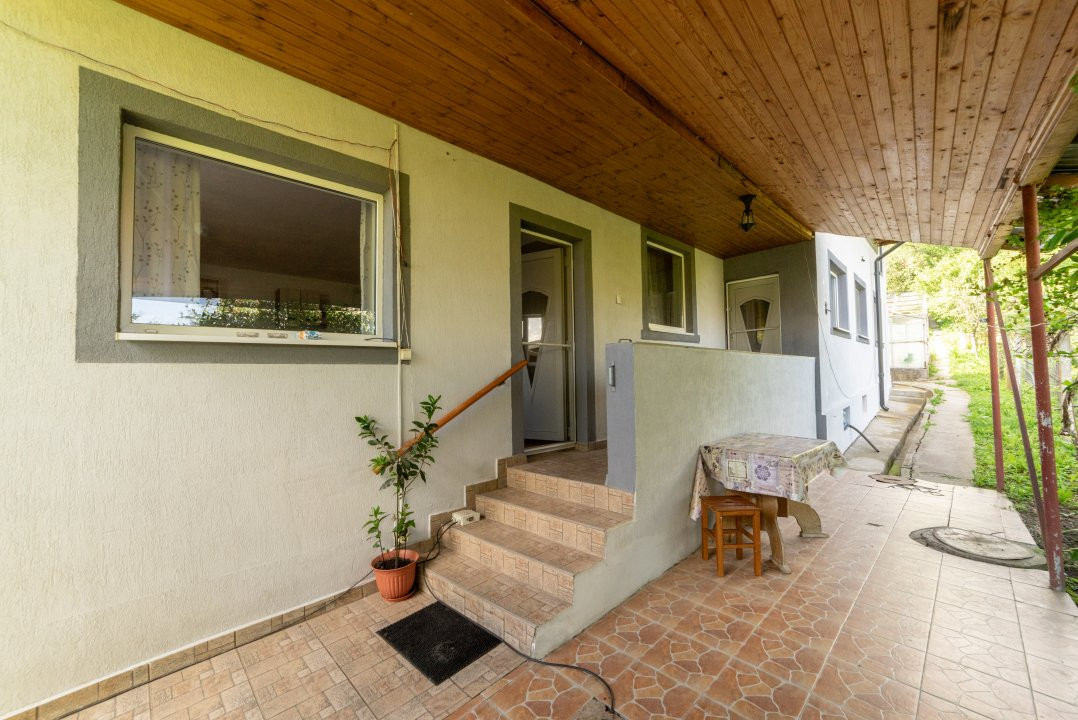 Două case la marginea pădurii – Proprietate de vânzare în Bascov!