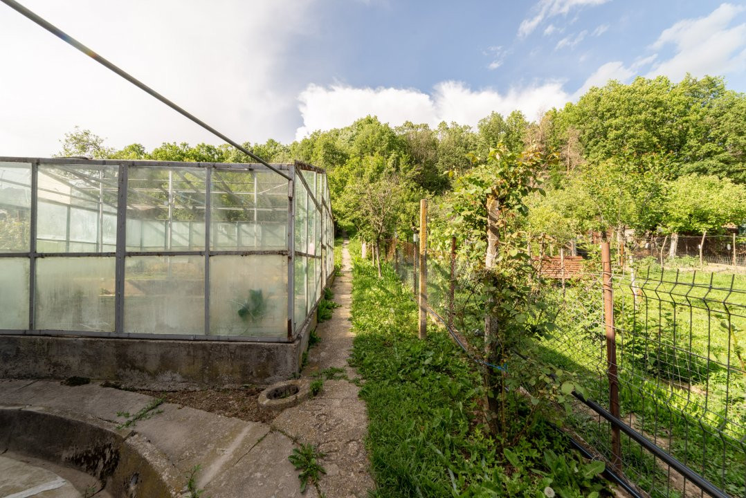 Două case la marginea pădurii – Proprietate de vânzare în Bascov!