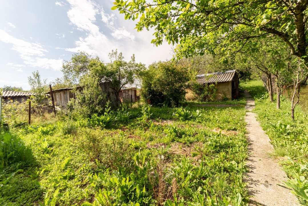 Două case la marginea pădurii – Proprietate de vânzare în Bascov!