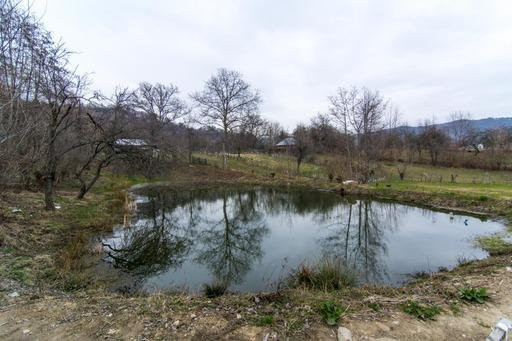  Pensiunea cu lac si ciubar Nucsoara-Arges-Afacere la Cheie