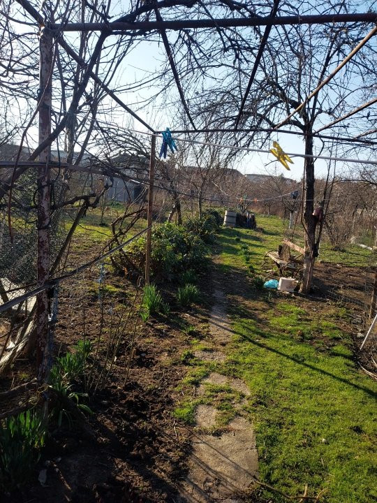 De vanzare casa spatioasa cu gradina zona Baritiu