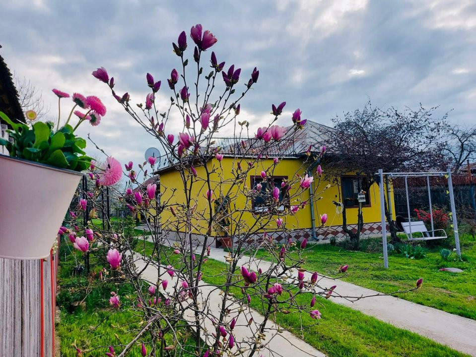 Casa Topoloveni - curte si livada, 3000 mp teren