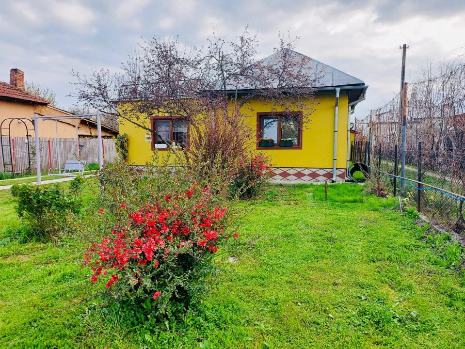 Casa Topoloveni - curte si livada, 3000 mp teren