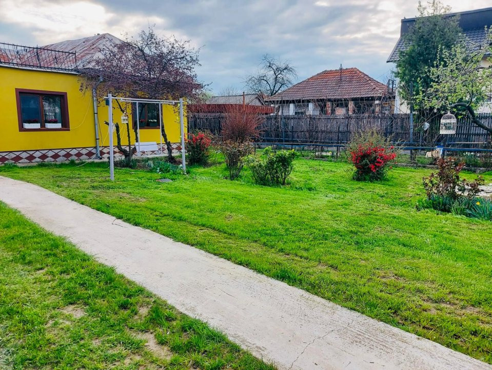 Casa Topoloveni - curte si livada, 3000 mp teren