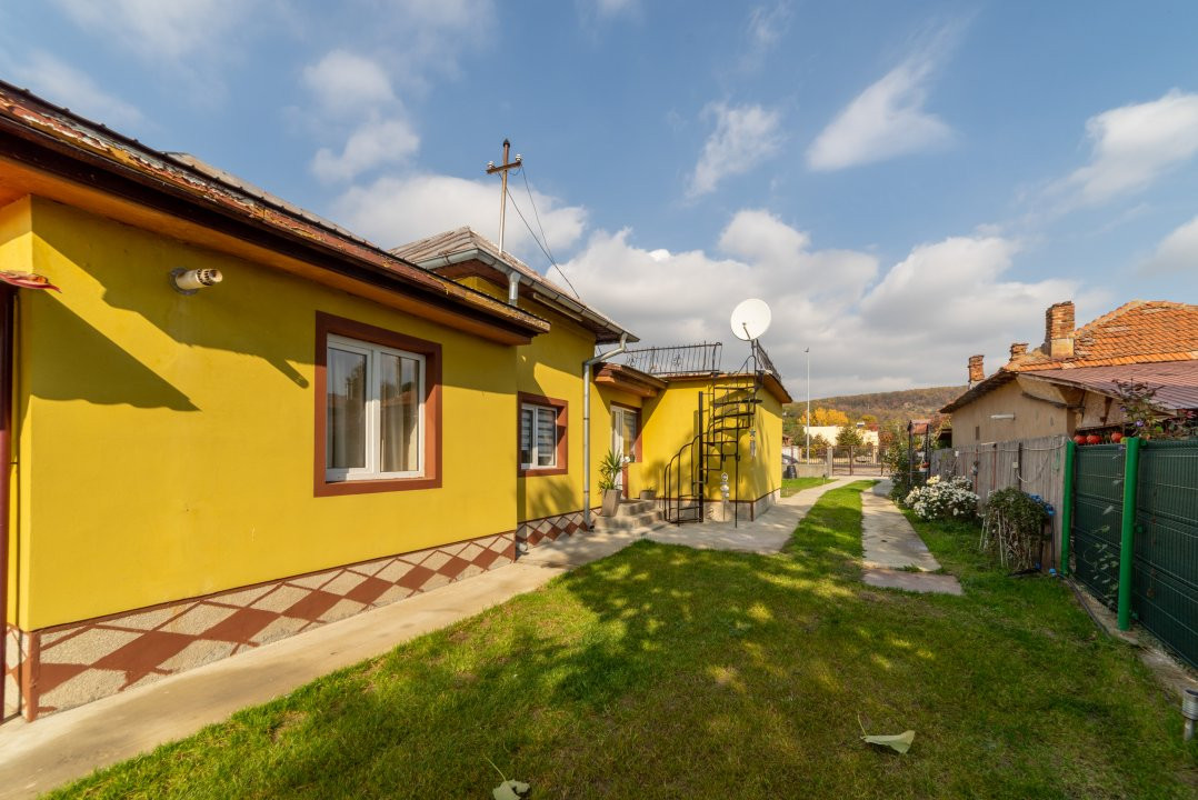 Casa Topoloveni - curte si livada, 3000 mp teren