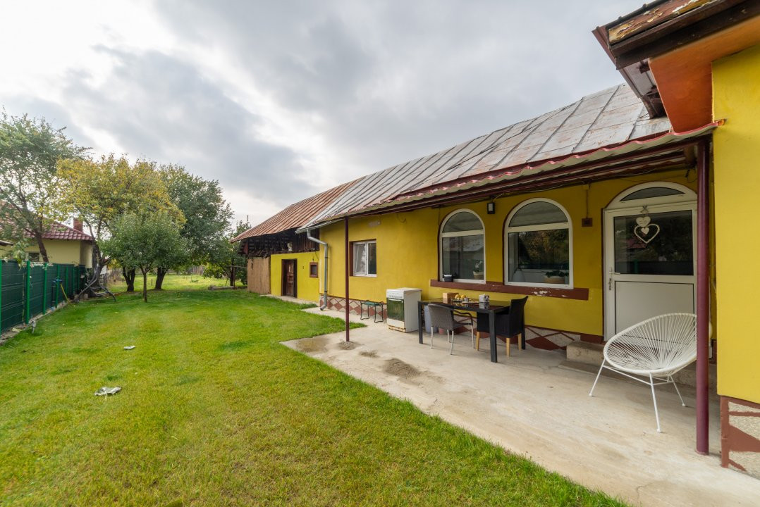 Casa Topoloveni - curte si livada, 3000 mp teren
