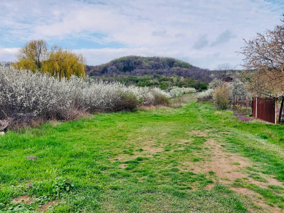 Casa Topoloveni - curte si livada, 3000 mp teren