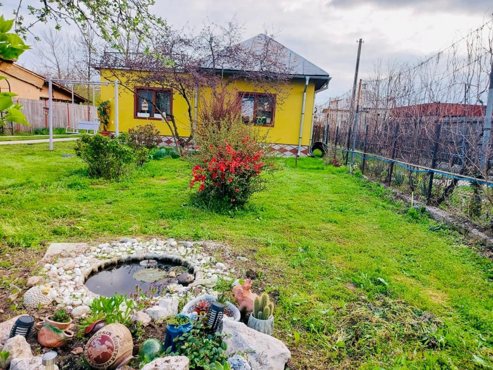 Casa Topoloveni - curte si livada, 3000 mp teren