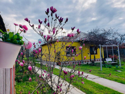 Casa Topoloveni - curte si livada, 3000 mp teren