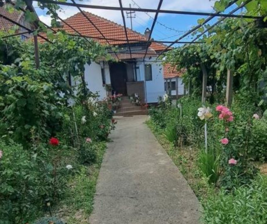 Teren 7661 mp în Șomănești, cu 2 case, livadă și vie pe rod