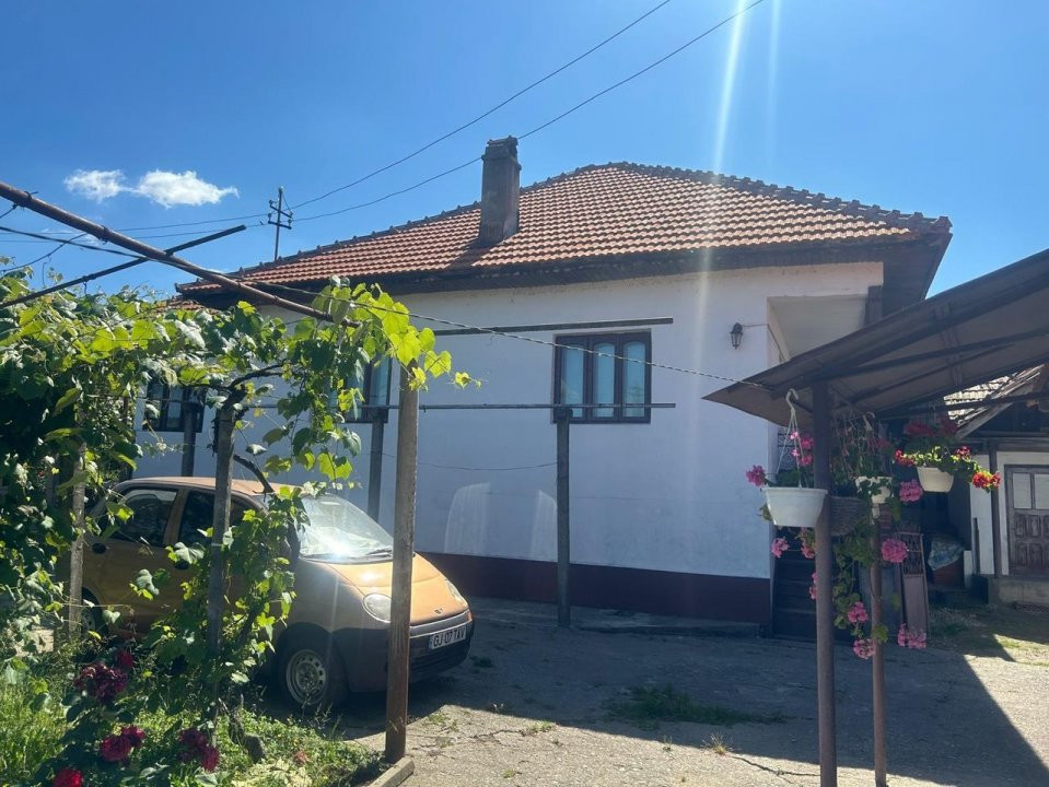 Teren 7661 mp în Șomănești, cu 2 case, livadă și vie pe rod