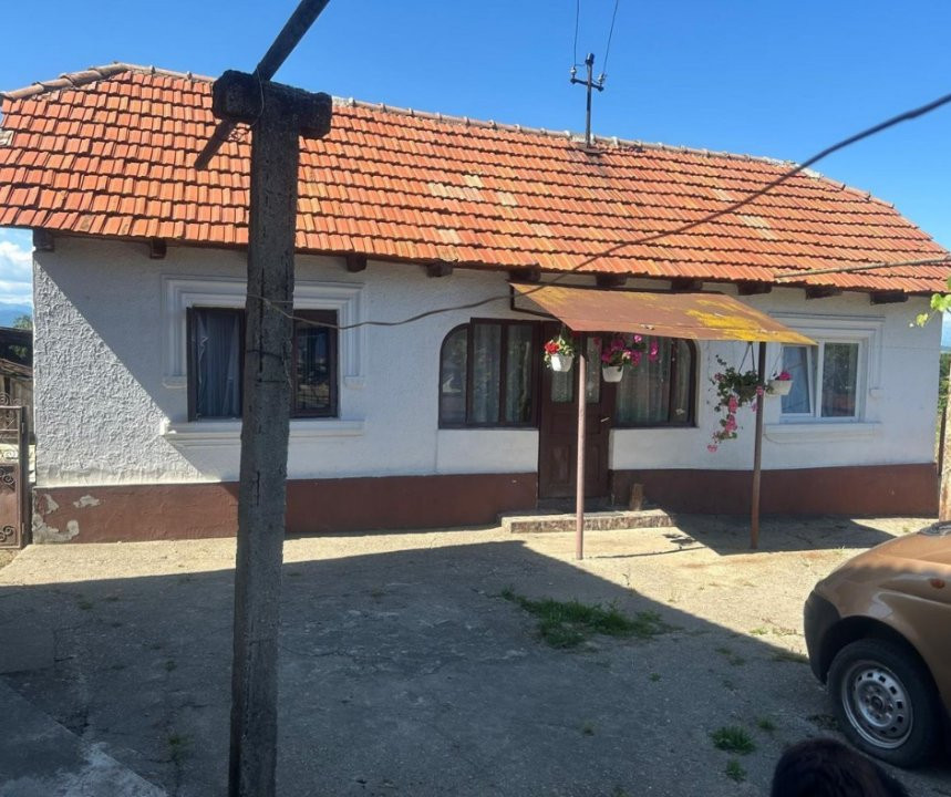 Teren 7661 mp în Șomănești, cu 2 case, livadă și vie pe rod