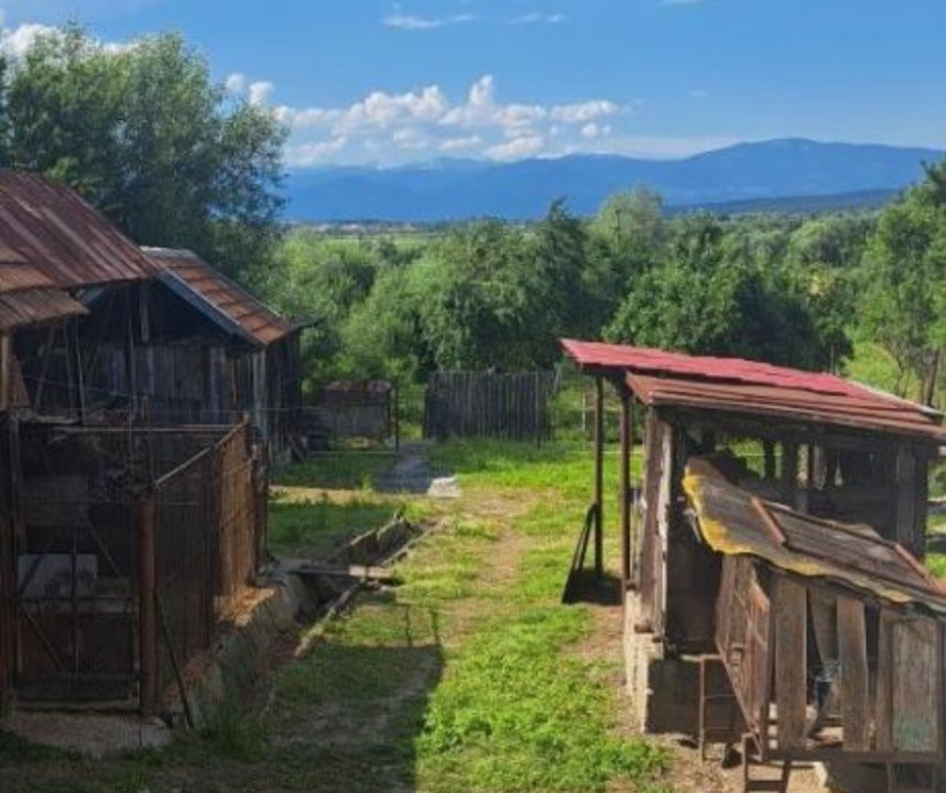 Teren 7661 mp în Șomănești, cu 2 case, livadă și vie pe rod