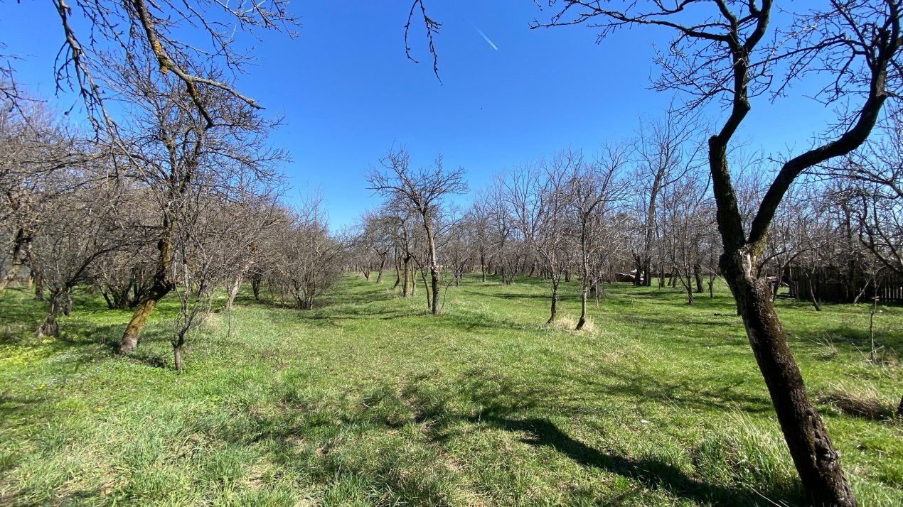 Teren Intravilan 3470 MP - Bradu - Toate utilitatile -