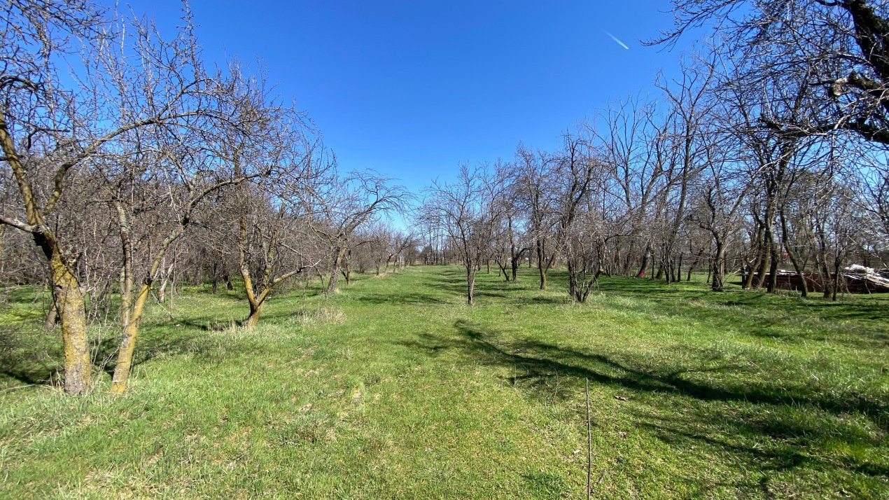 Teren Intravilan 3470 MP - Bradu - Toate utilitatile -